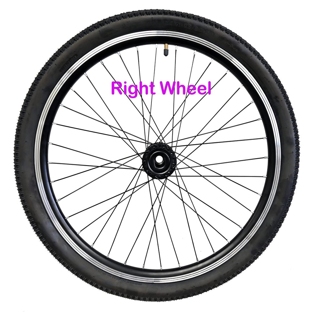 Fomas Adults Tricycle - Double Wall Alloy Rim, 36x13G Black Spoke with Tire and Tube for 15mm Axle (24" Right Wheel) - DON'T FIT A SCHWINN TRIKE