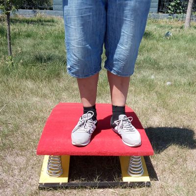 LZMZMQ Vault Trampoline for Gymnastics, Competition Athletic Gym Spring Boards Trampoline Equipment, with 6 Springs, Large Red Green Spring Board(Red)