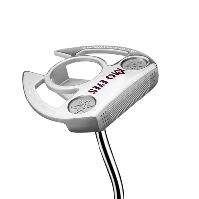 Golf Mallet Putters Golf Club Push Rod Leaning Neck 304 Soft Iron Casting Golf Sports Clubs Golf Putter Push (Silver)