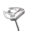 Golf Mallet Putters Golf Club Push Rod Leaning Neck 304 Soft Iron Casting Golf Sports Clubs Golf Putter Push (Silver) view 1