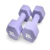 Rainforest Basics Neoprene Coated Dumbbell Hand Weight Set (20-Pound, Set of 2) view 1
