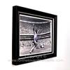 Carlos Alberto 'Capita' Hand Signed Autograph Brazil World Cup Football Soccer Memorabilia Photo In Luxury Handmade Wooden Display & Certificates of Authenticity view 2
