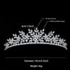 Small Wedding Tiara Cubic Zirconia Princess Quince Crown Floral Bridal Headpiece CZ Birthday Party Sweet 16 Tiaras Para 15 Aos Quinceaeras (Silver) view 3