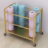 ZAQYCM Extra Large Yoga Mat Storage Rack Cart with Wheels, Holds Over 15 Workout Mats - Commercial 5 Sectional Exercise Mats Holder/Foam Rollers Basket/Wrapping Paper Carrier (Color : Gold) view 2