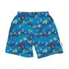 Green Sprouts Eco Swim Trunks with Built-in Diaper | Baby Boys Swimsuit | Lightweight, Patented Design | Standard 100 by Oeko-TEX Certified | Sizes 6 mo-4T view 1