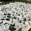 CHEVVY Military Camouflage Netting 2x3m, 4x5m, 3x4m, 5x5m, Beige Camouflage Net, Outdoor Camo Netting for Blinds Hunting Shooting Blind Camping Military Party Decoration (Size : 6x10m/19.7x32.8ft) view 4