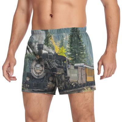 Aflyko Vehicle Novelty Boxer Shorts Steam Train Mountain Relaxed Fit Boxers Summer Men's Underwear, XXL