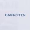 Hang Ten Men's Rashguards - Switchfoot in White, XXX-Large view 3
