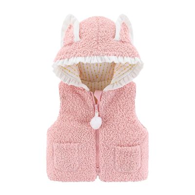 Toddler Kids Baby Girls Boys Solid Outdoor Vest Hooded Windproof Coat Children Cotton Cute Warm (Pink#23, 9-12 Months)