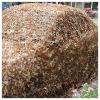 Pealihuy Camouflage Net Military Hunting Camouflage Netting for Tree Stand, Photography, Decorations, Hunting, Shooting, Duck Blinds, Sunshade,2X1m view 3