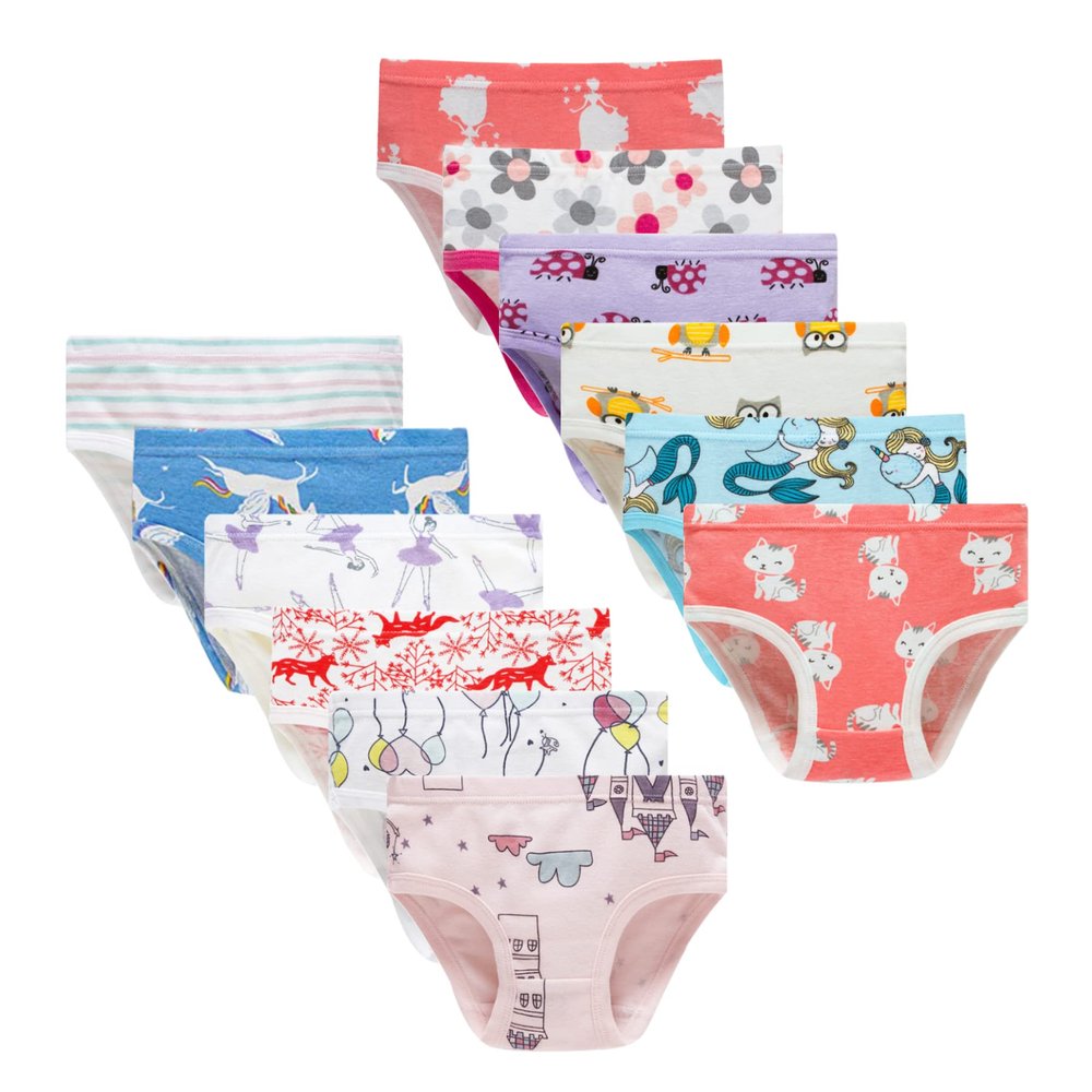 Winging Day Big Girls Assorted Prints Underwear Size 12 (12-Pack)