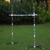 OUTTOY Outdoor Yard Games for Adults and Family, 2 in 1 Limbo Game Flying Disc Games Set with Light, Sutiable for Backyards, Beach, Lawn, Party view 1