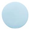 FGCI Marine Gel Coat 1 Quart Ice Blue, Boat Building & Repair view 2