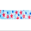 Country Brook Design - American Celebration Polyester Webbing (1 Inch, 50 Yards) view 4