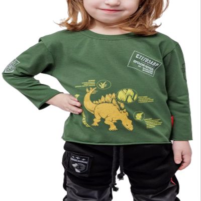 AVIATSIYA HALYCHYNY Kid's Long Sleeve T-Shirts Stegosaurus Cotton Shirt (as1, Age, 4_Years, 6_Years) Green