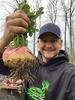 Pure Whitetail Sugar Rush | Select Seed Blends | Easiest Deer Feeder | Late Season Whitetail Deer Food Plot | Turnip, Sugar Beet, Winfred Forage Brassica Seeds | 5 lb Bags | 2-Pack view 2