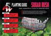 Pure Whitetail Sugar Rush | Select Seed Blends | Easiest Deer Feeder | Late Season Whitetail Deer Food Plot | Turnip, Sugar Beet, Winfred Forage Brassica Seeds | 5 lb Bags | 2-Pack view 4