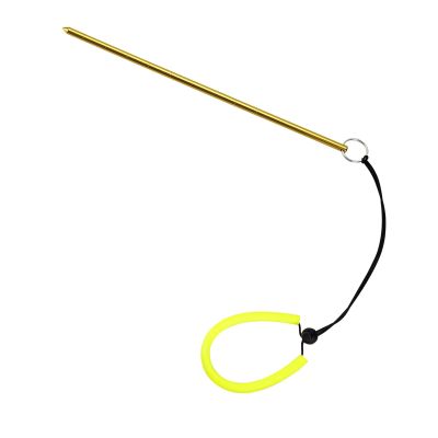 IST TA7 Aluminum Pointer with Ruler & Lanyard (Gold)