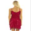 Yartina Women's Sequin Fringe Latin Dance Dress 1920s Flapper Vintage Dress Cocktail Party Ballroom Dancewear Costume Red One_Size view 4