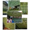KADEUX Woodland Camo Netting, Camouflage Military Nets 1013ft 1320ft 1620ft 2020ft 2333ft Camo Net, Oxford Netting Camouflage for Camping Hunting Shooting Party (Size : 10mx20m) view 3