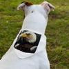 USA Bald Eagle Pet Bandana Collar - Unique Scarf Collar - Cool Art Dog Bandana - XL view 2