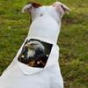Cool American Eagle Pet Bandana Collar - Illustration Scarf Collar - Graphic Dog Bandana - L view 2