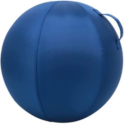 MCHDMI 2PCS Yoga Ball Dustproof Covers,Exercise Ball Cover with Handle Balance Ball Cover for Fitness Yoga Gym Training,Blue,21.7inch