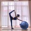 MCHDMI 2PCS Yoga Ball Dustproof Covers,Exercise Ball Cover with Handle Balance Ball Cover for Fitness Yoga Gym Training,Blue,21.7inch view 2