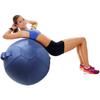 MCHDMI 2PCS Yoga Ball Dustproof Covers,Exercise Ball Cover with Handle Balance Ball Cover for Fitness Yoga Gym Training,Blue,21.7inch view 4