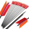 ZSHJGJR 30 Inch Archery Hunting Arrows Carbon Flu Flu Arrows Spine 500 Target Practice Arrows with 4pcs Turkey Feather Replaceable Arrowhead for Outdoor Hunting Shooting 6/12pcs (12, Four Color) view 1