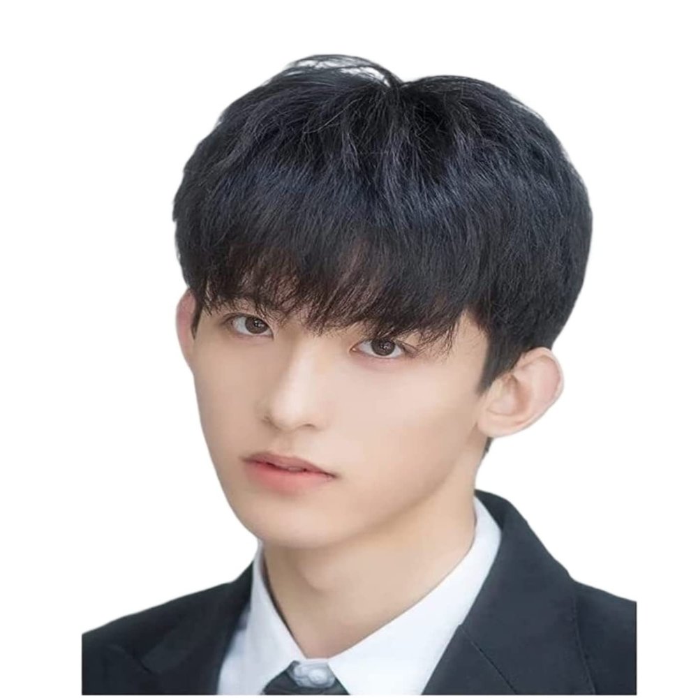 KYUSAR Beautiful Wig Mens Boys Short Straight Black Hair Wigs Male Party Real Hair Cosplay Wig Daily Use Wigs