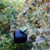Pealihuy Camouflage Net Quick Dry Camouflage Netting for Tree Stand, Photography, Decorations, Hunting, Shooting, Duck Blinds, Sunshade,3X8m view 1