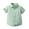 AWIBMK Baby Boys Plaid Stripe Gentleman Suits Bowtie Overalls Suspenders Shorts Pants Wedding Bearer Tuxedo Dress Baptism Outfits Cake Smash Formal Easter Christening Clothes Mint Green 12-18 Months view 4