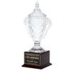 Same Day Awards Rosewood Crystal Trophy Cup - Custom Engraved 15.5 Inch Award for Corporate Professional Achievements Retirement Championships Leadership Honors Volunteer Recognition view 3
