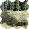 KADEUX Camouflage Netting Woodland Oxford Fabric Camo Net Army Decoration Camo Netting 45m 48m 56m 510m 68m Hunting Blind Outdoor Awning Mesh Net (Size : 10x20m(32.8x65.6ft)) view 1