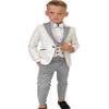 Boys Formal Suit Wedding Tuxedo 3 Pieces Jacket Pants Vest Kids Party Blazer,Boys' Suits Gray view 1