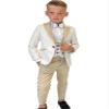 Boys Formal Suit Wedding Tuxedo 3 Pieces Jacket Pants Vest Kids Party Blazer,Boys' Suits Champagne view 1