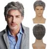 Kaneles Mens Grey Short Wig Synthetic Replacement Costume Halloween Soft Layered Natural Hair Male Wigs (Gray) view 1