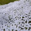 Pealihuy Camouflage Net UV Treated Camouflage Netting for Tree Stand, Photography, Decorations, Hunting, Shooting, Duck Blinds, Sunshade,4X6m view 3