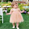 AGQT Baby Girls Tulle Tutu Dress Sleeveless Toddler Butterfly Back Tutu Dresses Birthday Party Gowns Wedding Layered Lace Holiday Mini Dress Apricotle Size 18-24 Months view 4