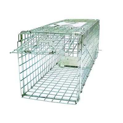 24" Small Collapsible Humane Live Animal Cage Trap No-Kill Trapping Kit for Humane Catch Release Rodent Small Cat, Rabbits, Squirrel, Opossum, Squire, Raccoon, All Fit Sized Animals, 2-Doors