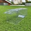 24" Small Collapsible Humane Live Animal Cage Trap No-Kill Trapping Kit for Humane Catch Release Rodent Small Cat, Rabbits, Squirrel, Opossum, Squire, Raccoon, All Fit Sized Animals, 2-Doors view 2