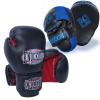 Boxing Gloves and Pads Focus Mitts Set for Kickboxing, Muay Thai MMA Training, Fitness Kit with Punching Pads for Martial Arts view 1
