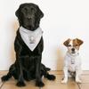Cartoon Dog Ghost Pet Bandana Collar - Cute Scarf Collar - Halloween Dog Bandana - XL view 4