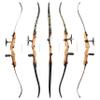 AMEYXGS Archery Takedown Recurve Bow Set 66/68/70 inch Right Hand 14-40LB for Beginners and Pros Archer Black Bow Limbs (70 inch, 20 lb) view 2