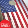 Skip's Garage Wrinkled American Flag Cornhole Set - 2x4 Boards (Corn Filled Bags) - Include Board Edge Lights view 2