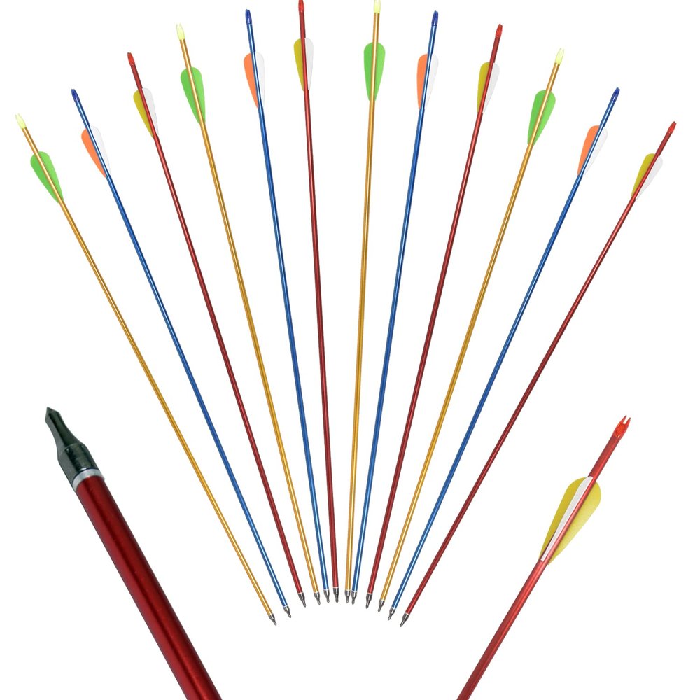 FUNTRESS 12 Pack 30 inch Aluminum Arrows with Removable Tips for Compound & Recurve Bow Target Practice Hunting