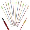 FUNTRESS 12 Pack 30 inch Aluminum Arrows with Removable Tips for Compound & Recurve Bow Target Practice Hunting view 1