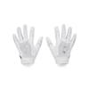 Under Armour Boys' F9 Nitro Football Gloves, (100) White/Distant Gray/Metallic Silver, Small view 1