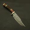 Custom Made Hand Forged Damascus Hunting/skinning Knife - Stag/antler Hand with Sheath view 2